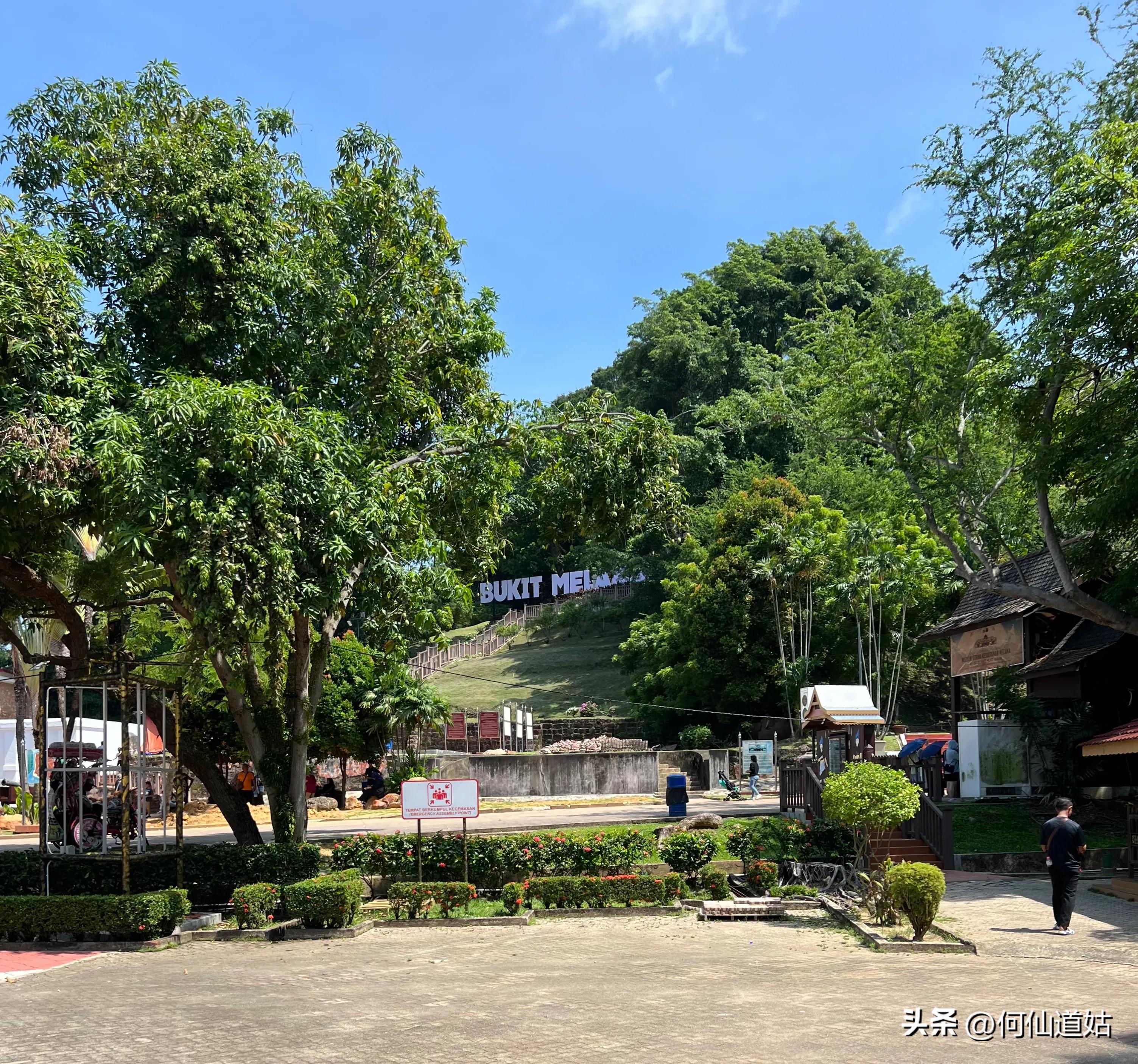 苏丹王榴莲和猫山王榴莲的区别_苏丹王朝_苏丹王