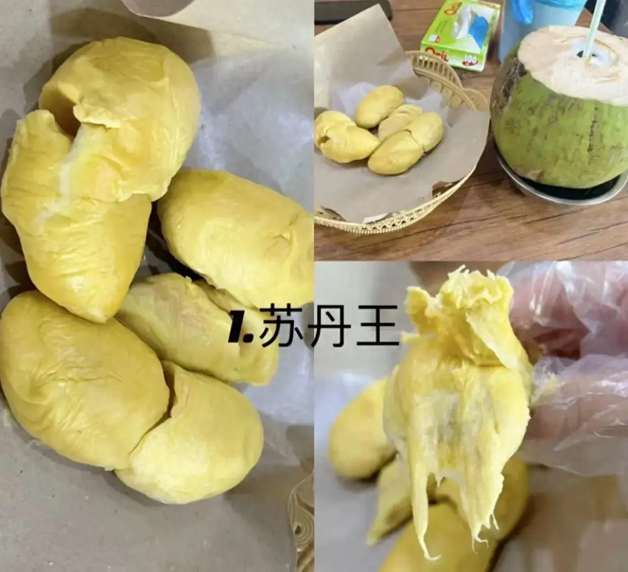 苏丹王朝_苏丹王和猫山王哪个好_苏丹王