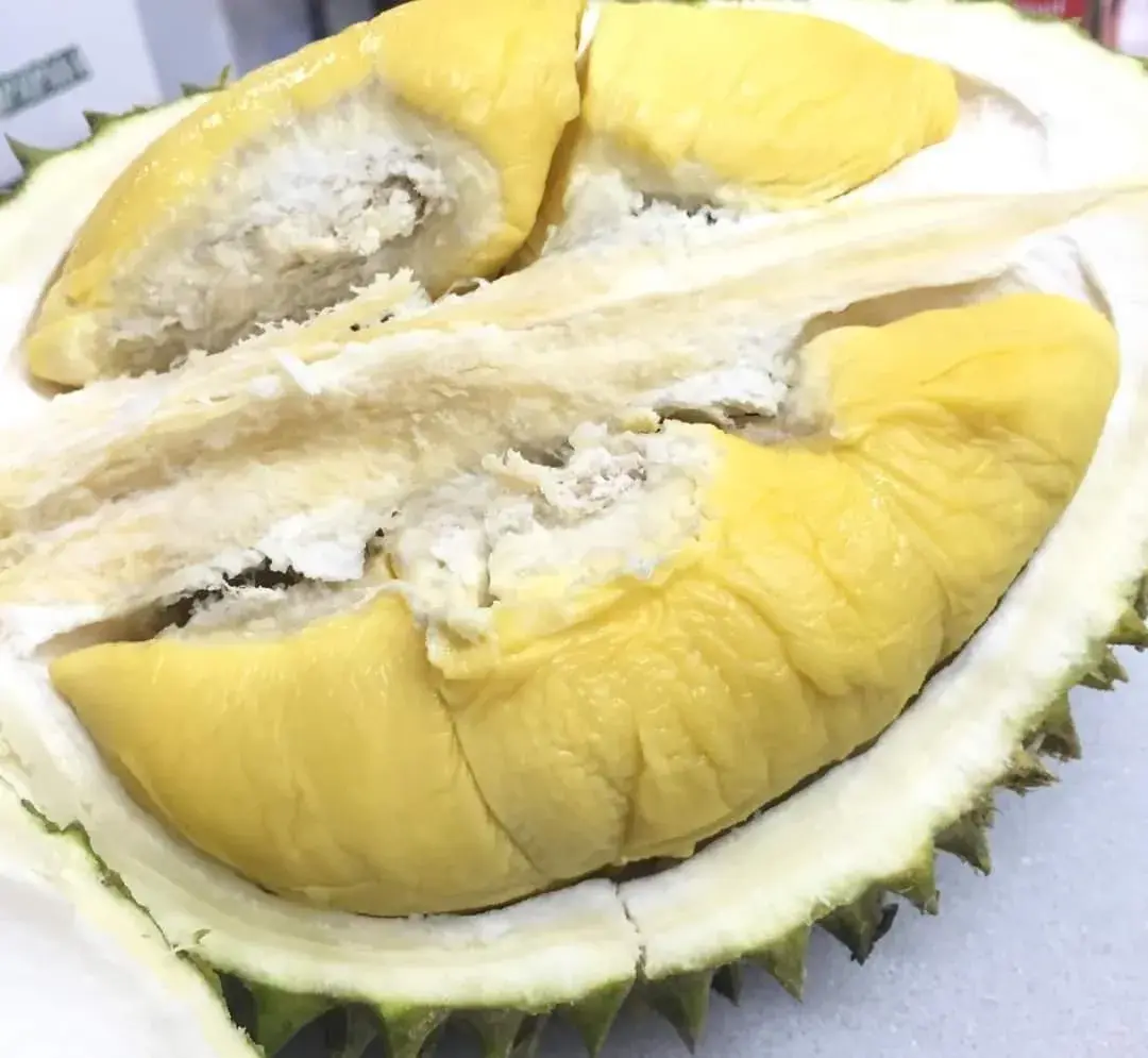 苏丹王和猫山王哪个好_苏丹王_苏丹王朝