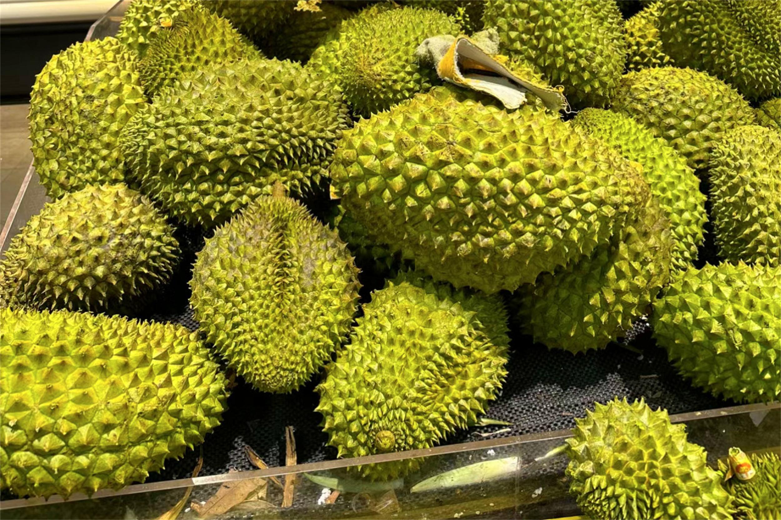 苏丹王榴莲好还是金枕榴莲好_苏丹王和猫山王哪个好_苏丹王