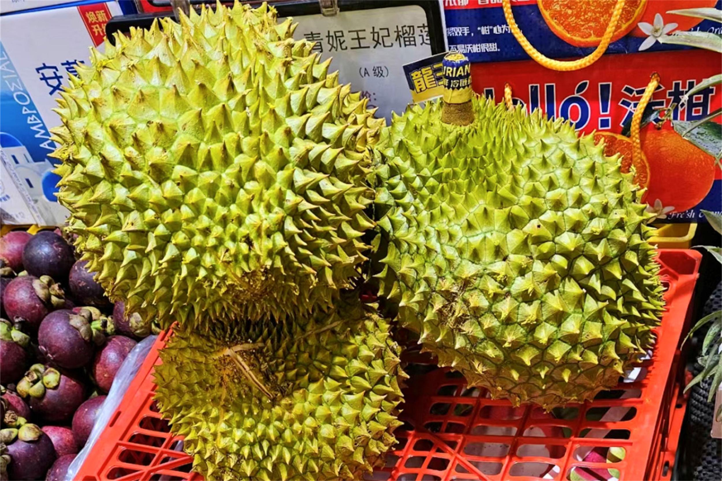 苏丹王_苏丹王和猫山王哪个好_苏丹王榴莲好还是金枕榴莲好