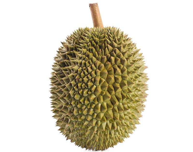 苏丹王是哪个国家的_苏丹王榴莲好还是金枕榴莲好_苏丹王