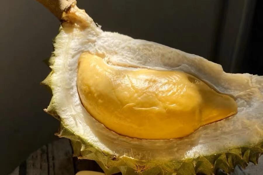 苏丹王是哪个国家的_苏丹王_苏丹王榴莲好还是金枕榴莲好