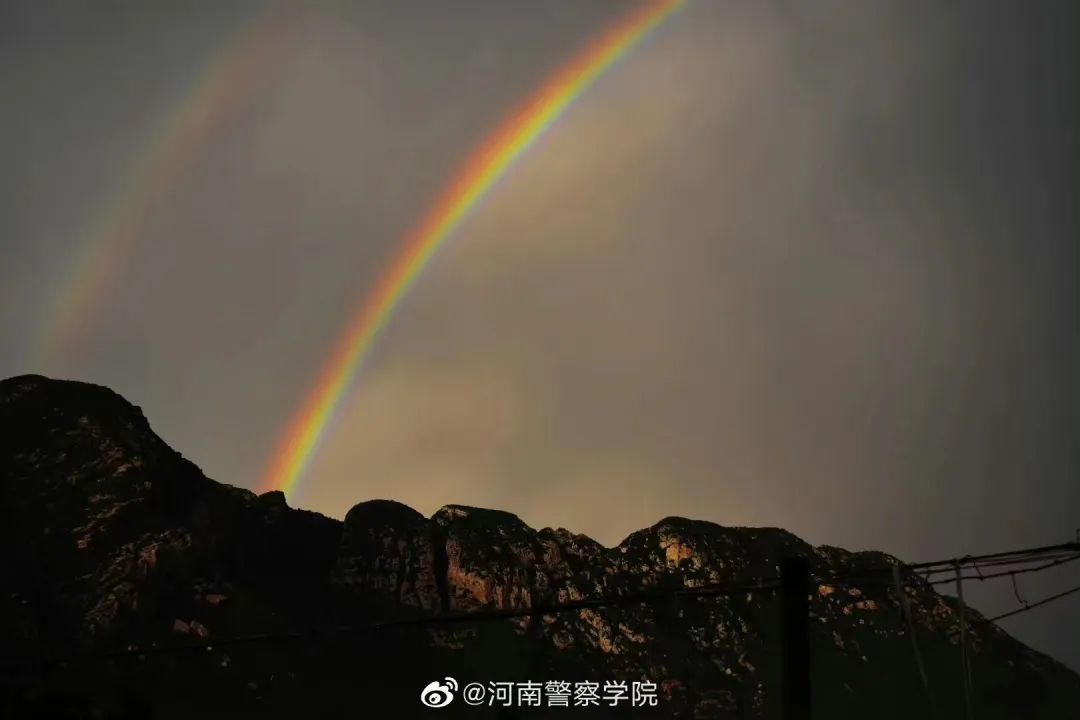 杳怎么读_杳若青冥天_杳