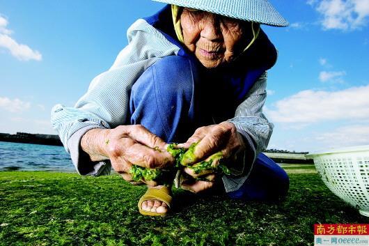 颐养天年的颐是什么意思_颐养天年_颐养天年适合多大年龄