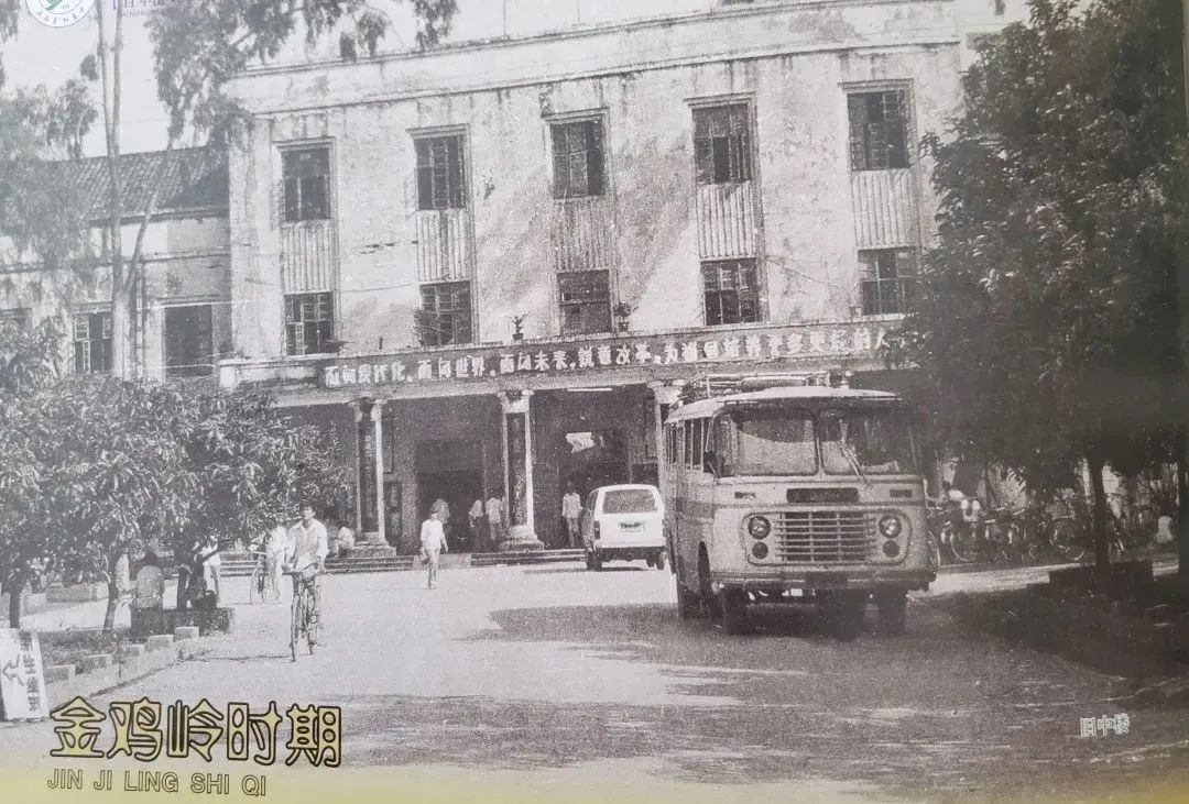 心系_心系怎么读_心系苍生