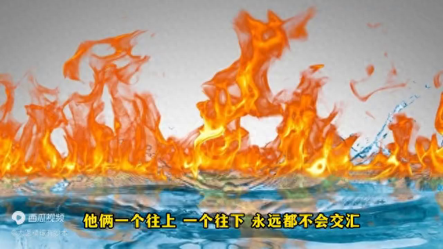 下载淘宝_下女韩国_在下