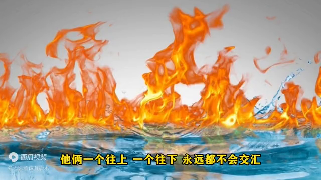 下女韩国_下载淘宝_在下