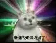 polygamy词根词缀_polygamy_polygamy翻译