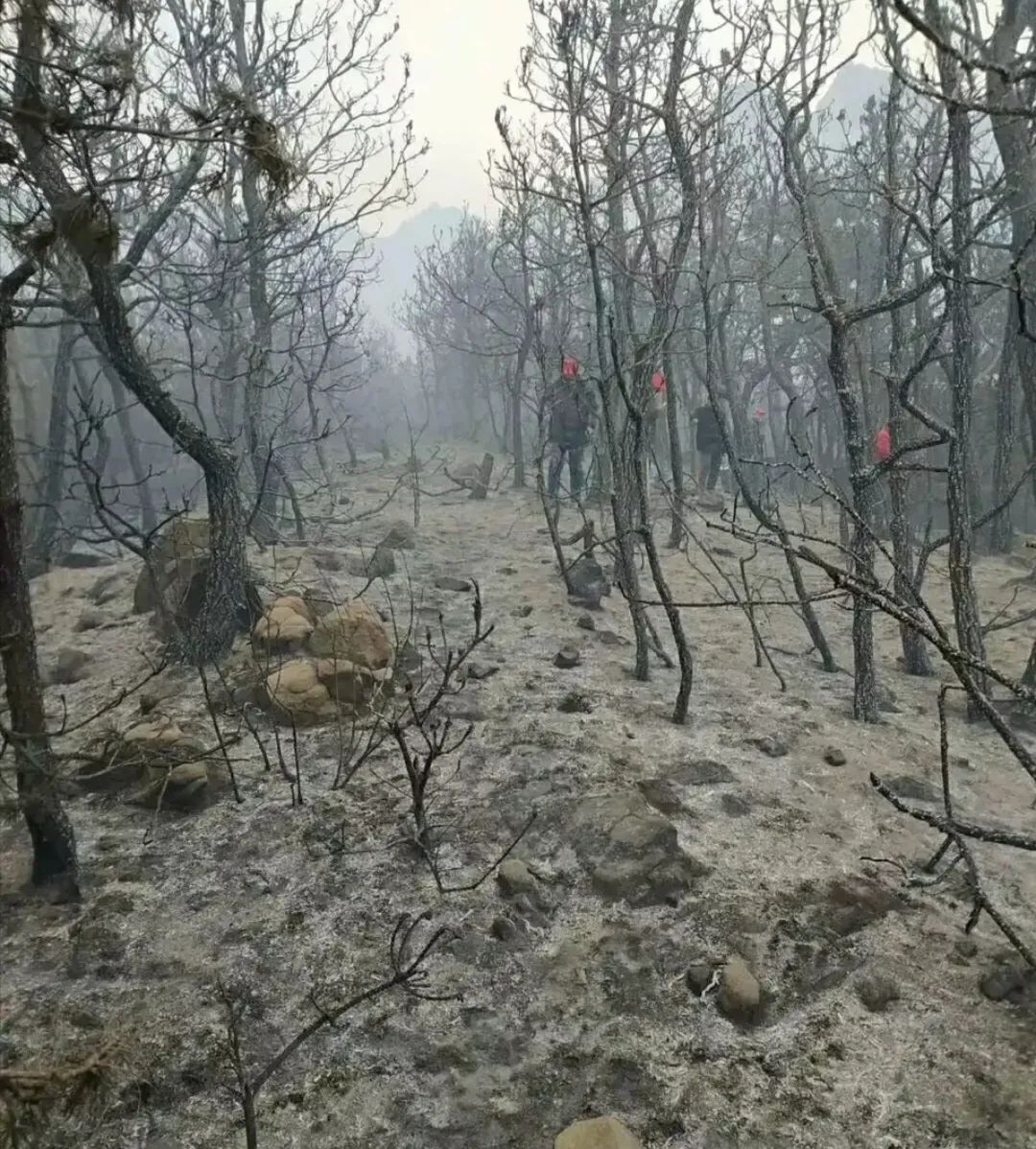 小珠山_珠山小八友_珠山小镇