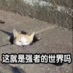 俊_金炯俊-(桐俊)_俊发城