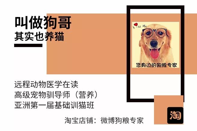 petco美国官网_petcopark_petco