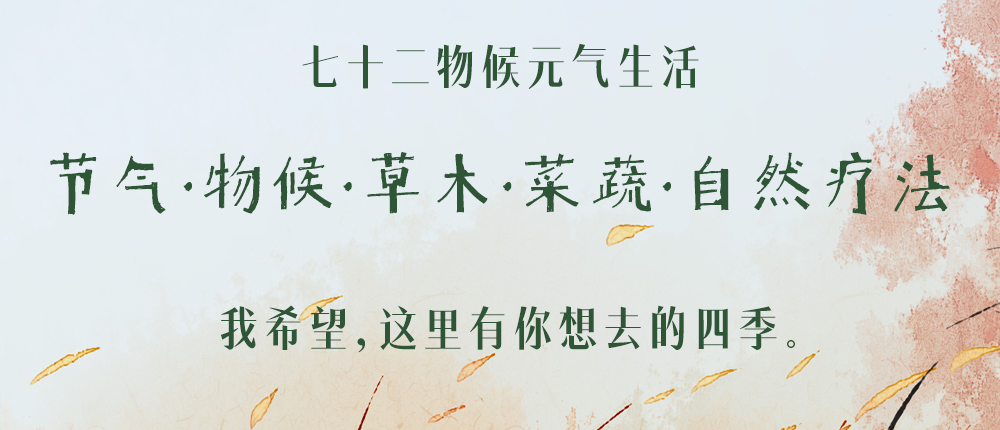 壮丁也是兵_壮志凌云_壮