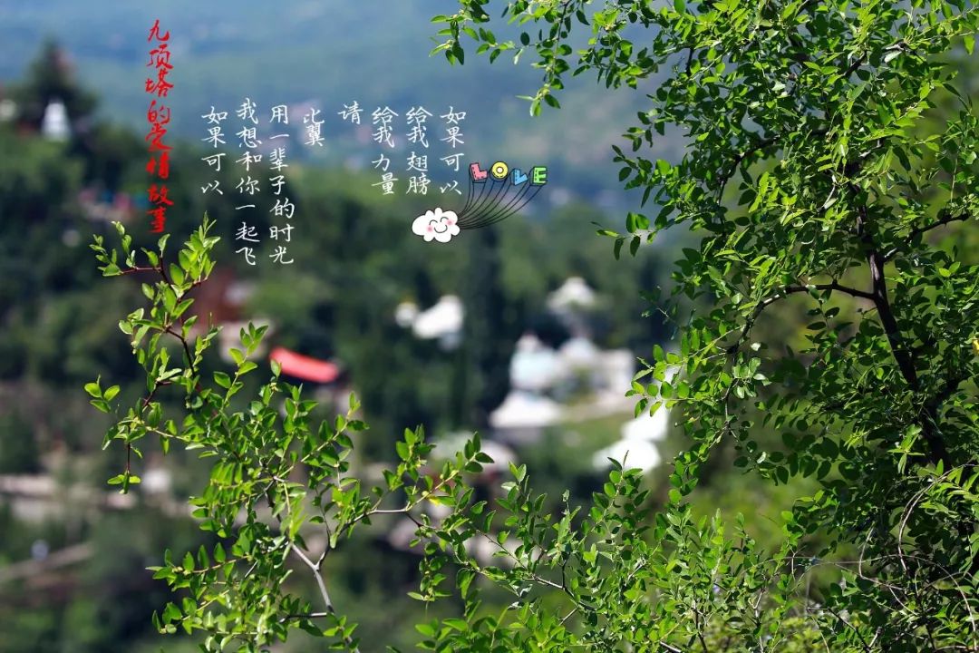 广州塔到沙河顶地铁_九顶塔_海盗船全塔机箱顶网怎么拆