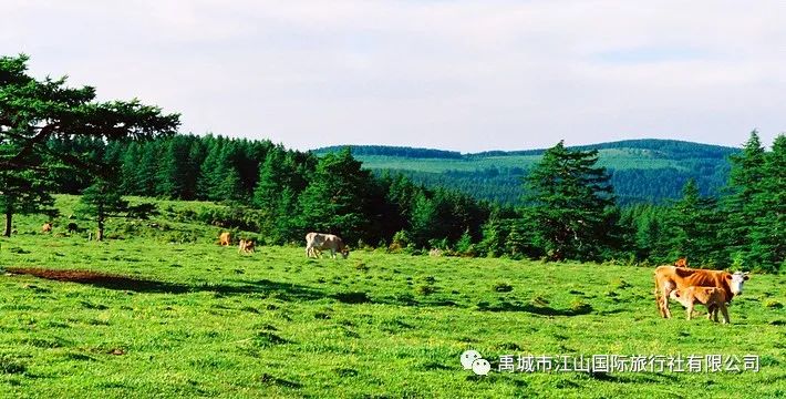 先锋塔和高地塔之间塔叫什么_海盗船全塔机箱顶网怎么拆_九顶塔