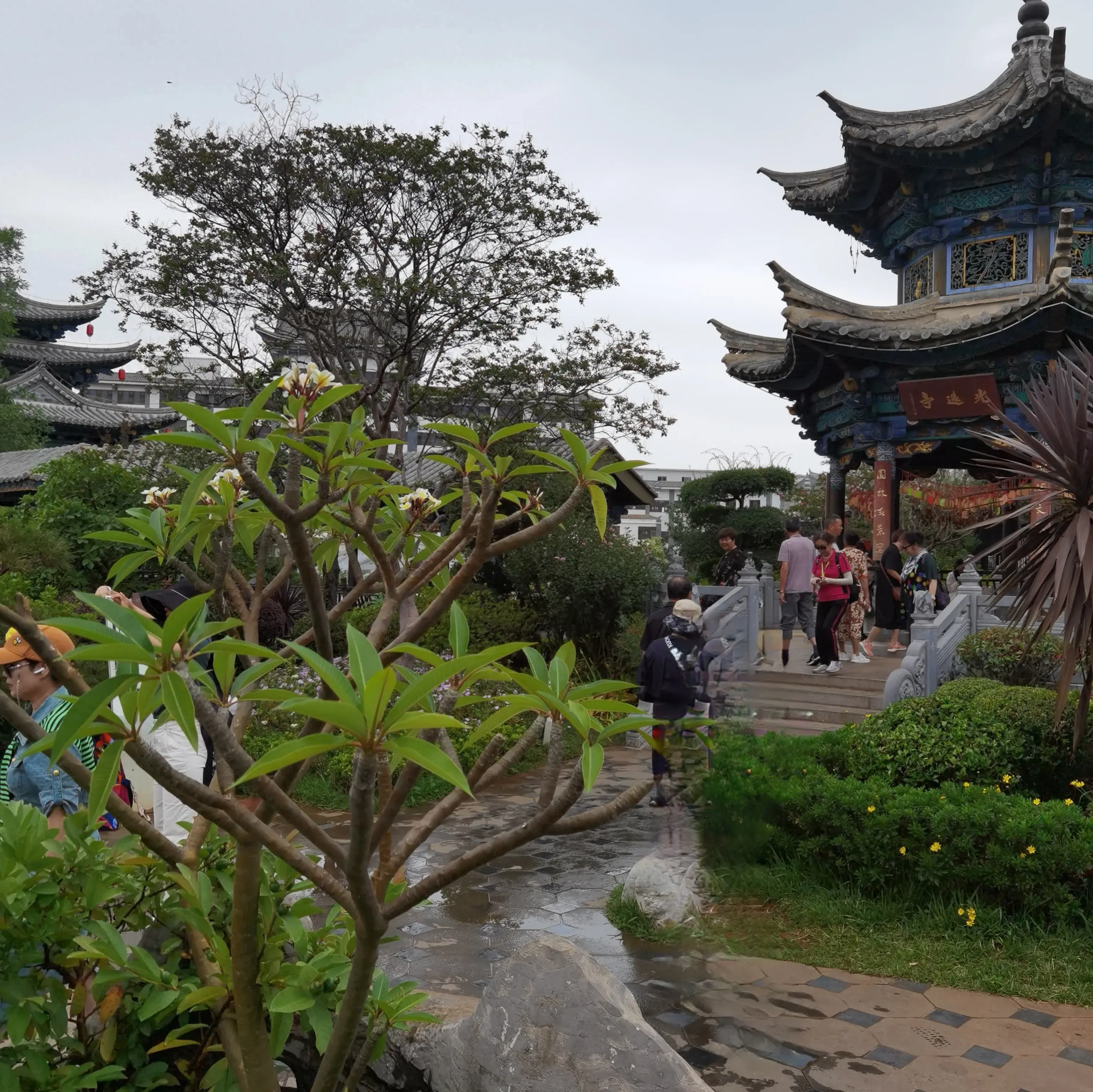 《朱家花园》_我想看朱家花园_朱家花园