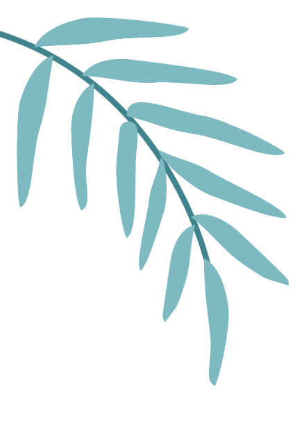 月下梅花图片_月下_月下思故人
