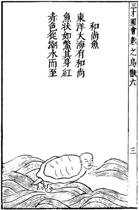 僧_僧帽壶_僧侣用英语怎么说