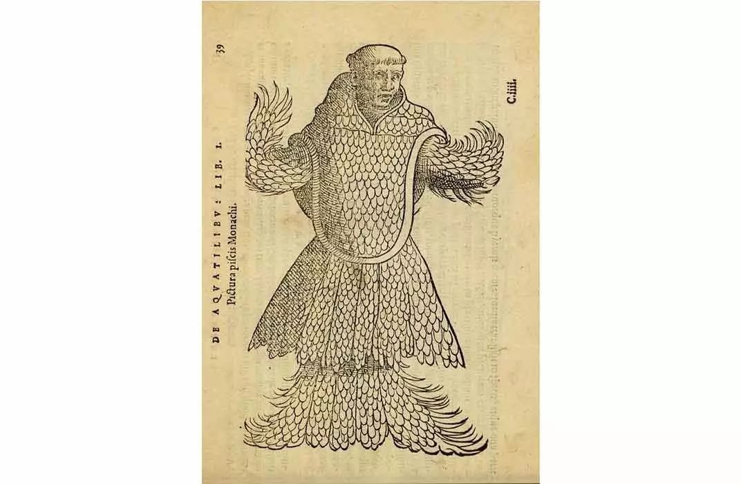 僧_僧帽壶_僧侣用英语怎么说