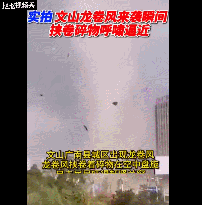 遮天蔽日的意思_遮天蔽日打一个生肖_遮天蔽日