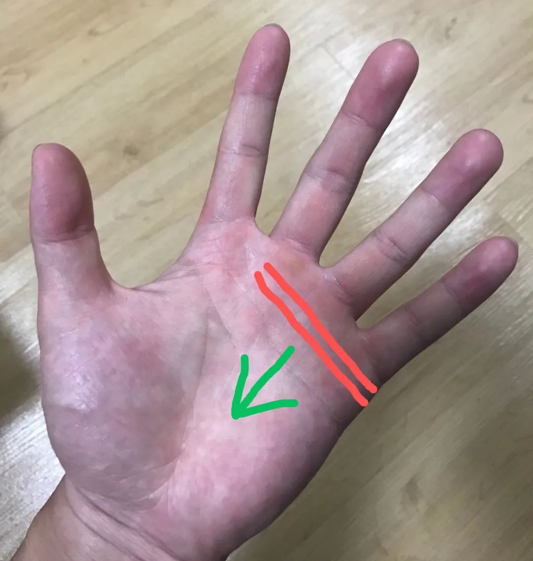 遮天蔽日的意思_遮天蔽日打一个生肖_遮天蔽日