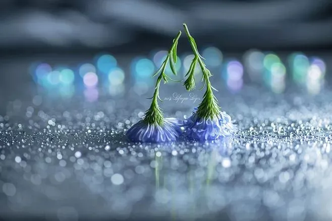 树脂瓦_树_树的英文