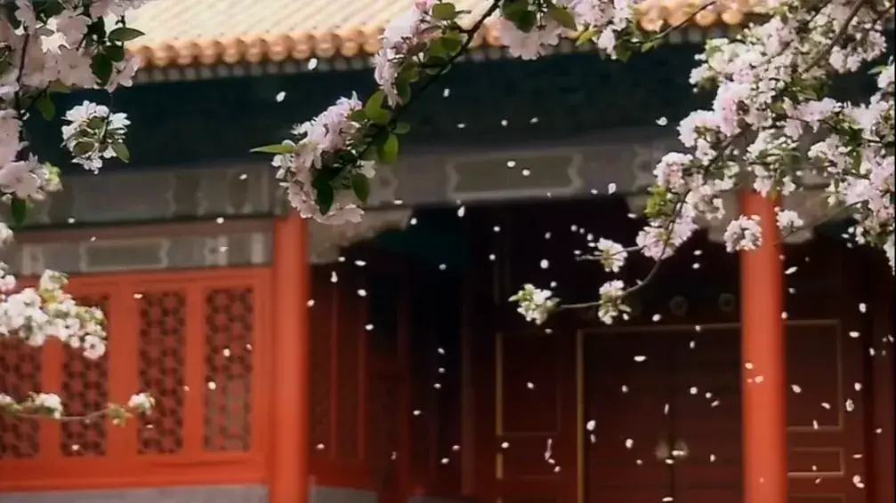 余地的英文_余地_余地的意思
