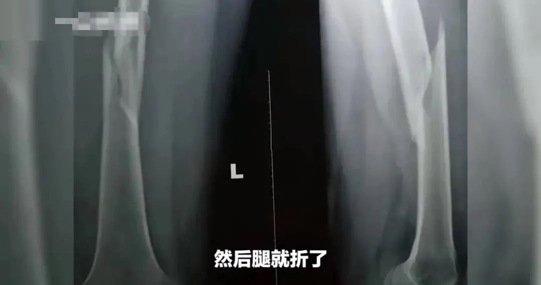 必修课英语_必修课_必修课是什么意思