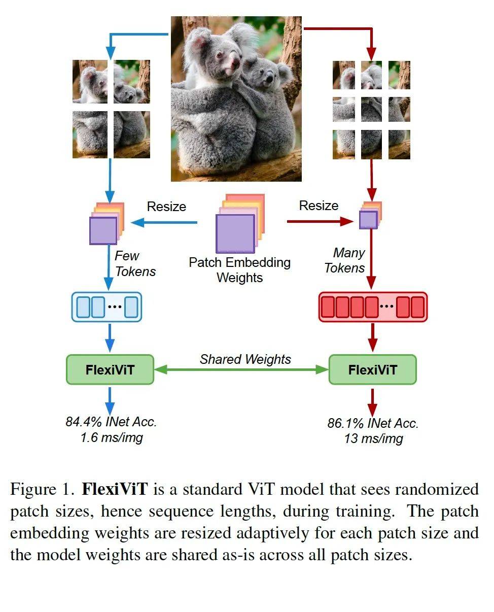 patches_patches冰箱怎么样_patchesof