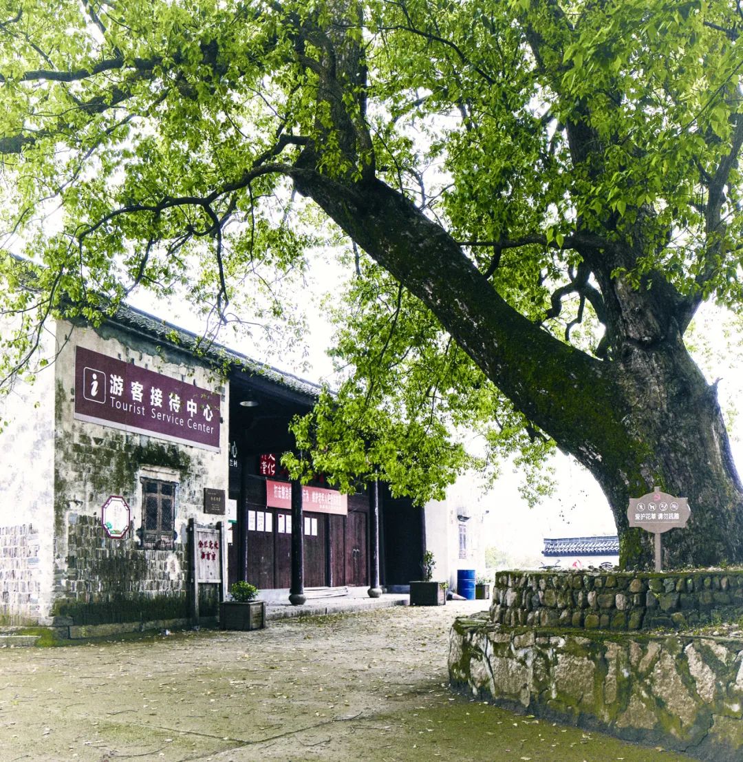义结金兰_义结金兰中的金兰是什么意思_义结金兰时说的话