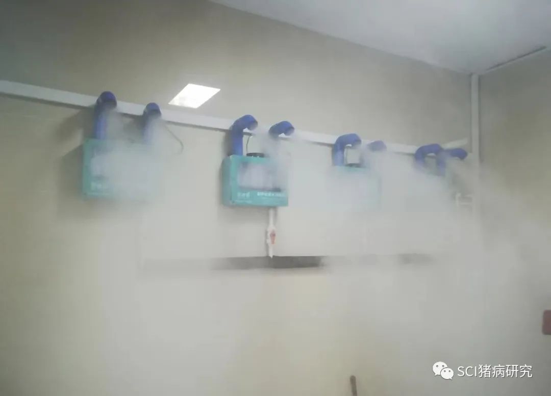 coverall是什么化妆品_coverall什么意思_coveralls