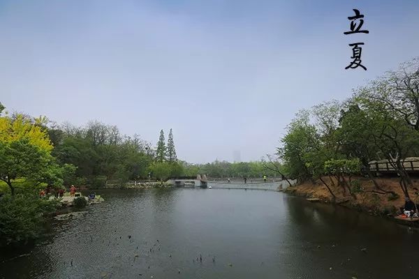 大连植物园加油站优惠活动_大连植物园加油站电话_大连植物园