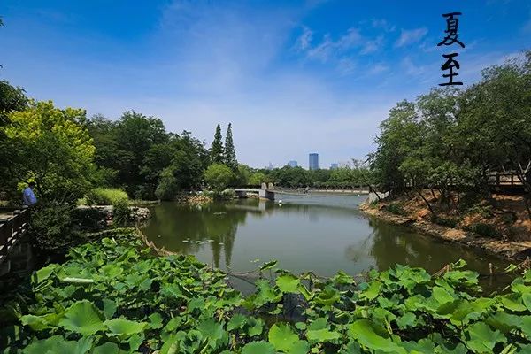 大连植物园_大连植物园加油站优惠活动_大连植物园加油站电话