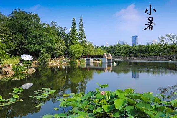 大连植物园_大连植物园加油站电话_大连植物园加油站优惠活动