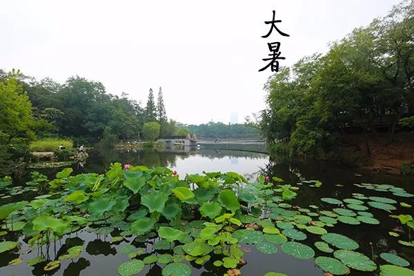 大连植物园_大连植物园加油站优惠活动_大连植物园加油站电话