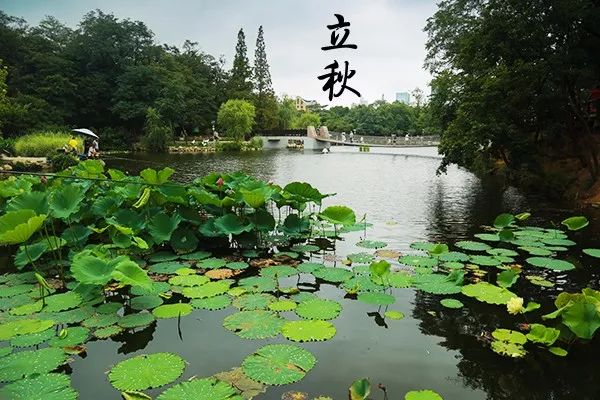 大连植物园加油站电话_大连植物园加油站优惠活动_大连植物园