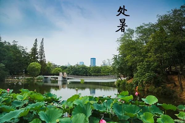 大连植物园加油站优惠活动_大连植物园加油站电话_大连植物园