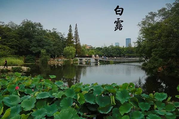 大连植物园_大连植物园加油站优惠活动_大连植物园加油站电话