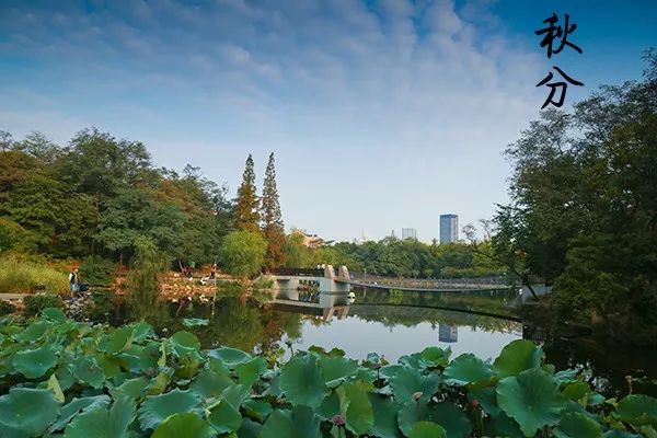 大连植物园加油站优惠活动_大连植物园_大连植物园加油站电话