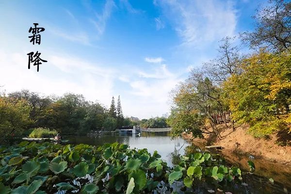 大连植物园加油站电话_大连植物园_大连植物园加油站优惠活动