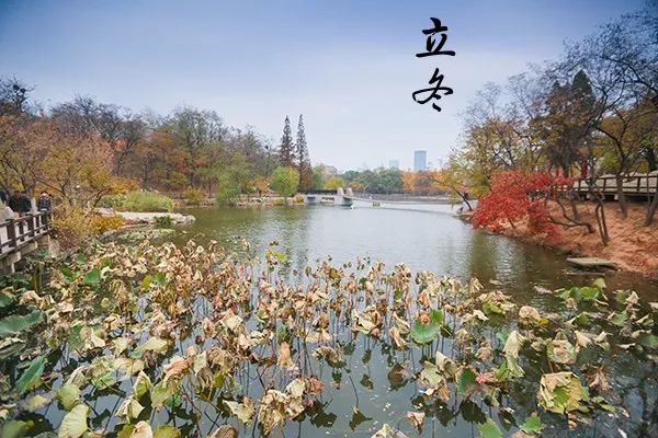 大连植物园_大连植物园加油站优惠活动_大连植物园加油站电话