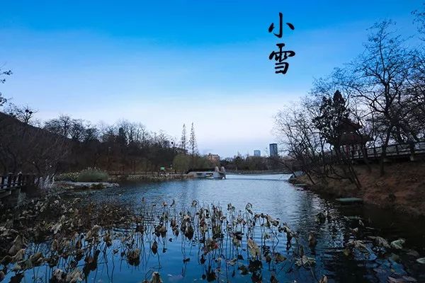 大连植物园加油站电话_大连植物园_大连植物园加油站优惠活动