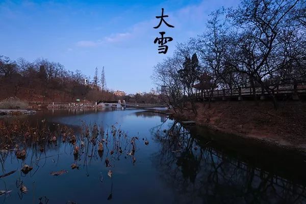 大连植物园_大连植物园加油站优惠活动_大连植物园加油站电话