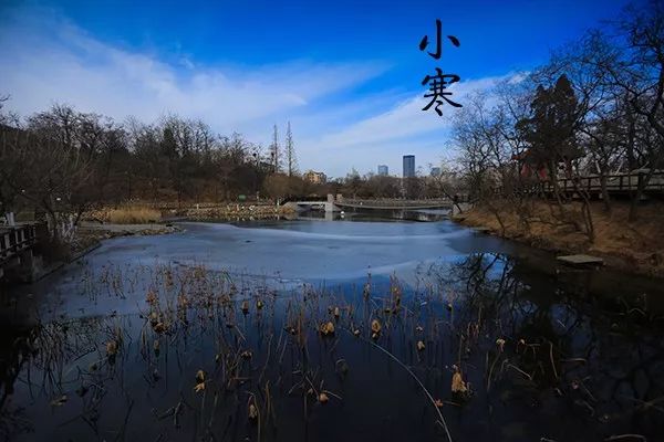 大连植物园_大连植物园加油站优惠活动_大连植物园加油站电话