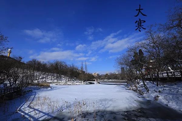 大连植物园加油站优惠活动_大连植物园_大连植物园加油站电话