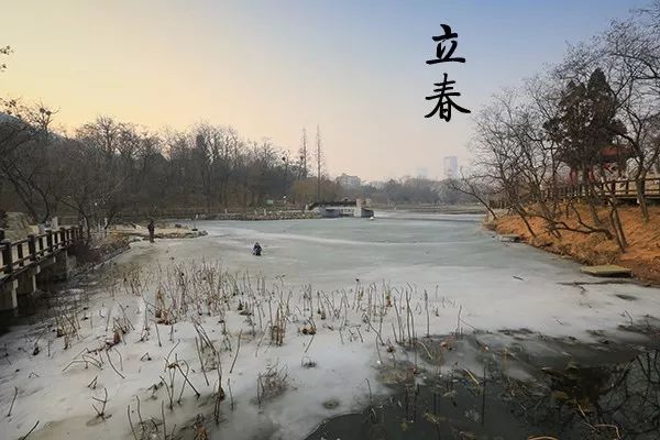 大连植物园加油站电话_大连植物园加油站优惠活动_大连植物园