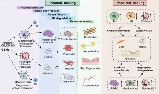 activating_activating翻译_activating