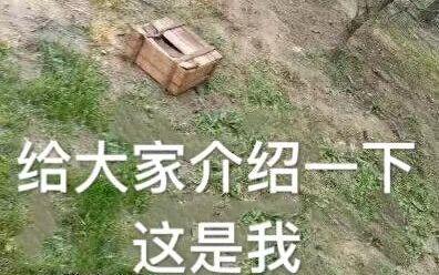蓝洞官网中文页面_蓝洞官网_蓝洞elyon官网