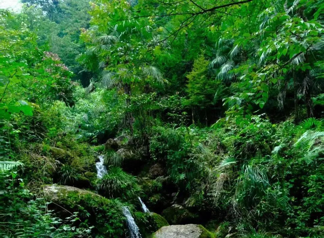 九龙沟景区门票多少钱_九龙沟天气_九龙沟