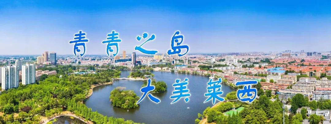 予以是什么意思_予以_予以处罚什么意思
